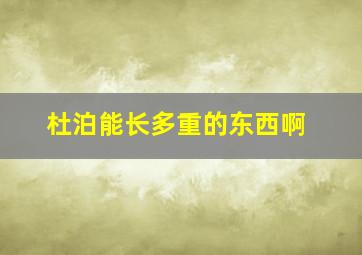 杜泊能长多重的东西啊