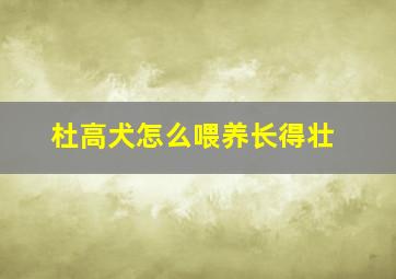 杜高犬怎么喂养长得壮