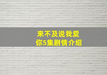 来不及说我爱你5集剧情介绍