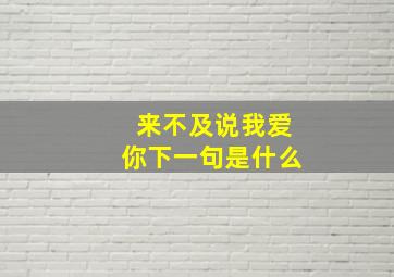 来不及说我爱你下一句是什么