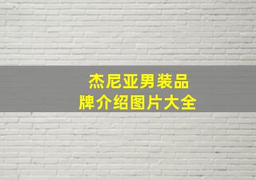 杰尼亚男装品牌介绍图片大全