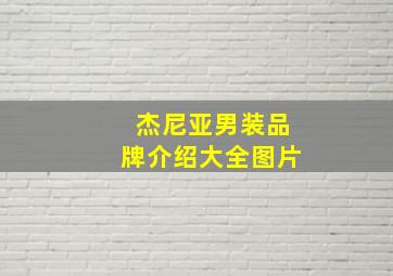 杰尼亚男装品牌介绍大全图片