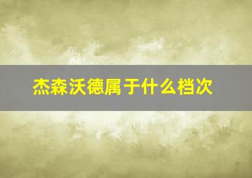 杰森沃德属于什么档次