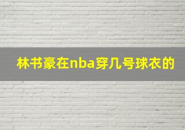 林书豪在nba穿几号球衣的