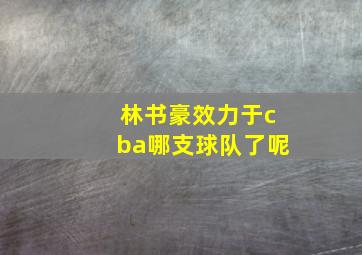 林书豪效力于cba哪支球队了呢