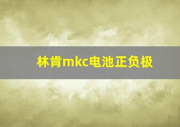 林肯mkc电池正负极