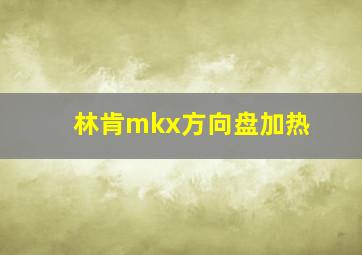 林肯mkx方向盘加热