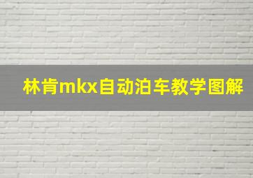 林肯mkx自动泊车教学图解