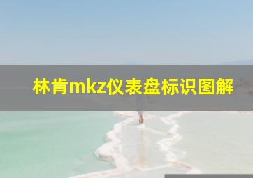 林肯mkz仪表盘标识图解