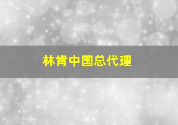 林肯中国总代理