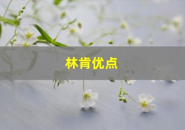 林肯优点