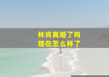 林肯离婚了吗现在怎么样了