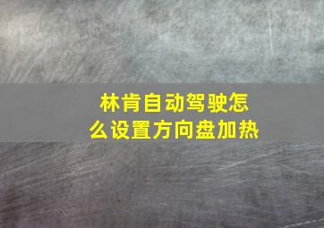 林肯自动驾驶怎么设置方向盘加热