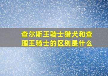 查尔斯王骑士猎犬和查理王骑士的区别是什么