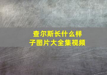 查尔斯长什么样子图片大全集视频