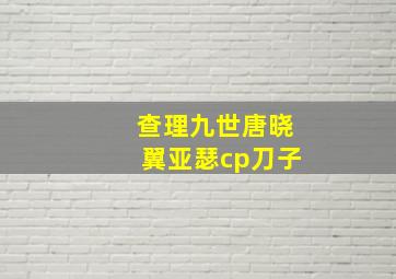 查理九世唐晓翼亚瑟cp刀子