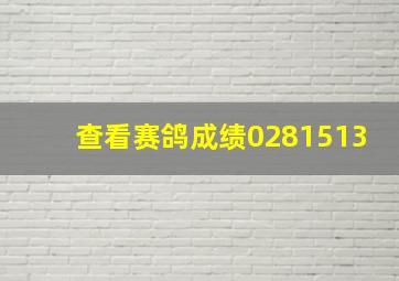 查看赛鸽成绩0281513