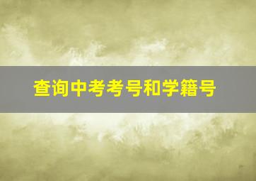 查询中考考号和学籍号