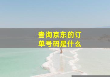 查询京东的订单号码是什么