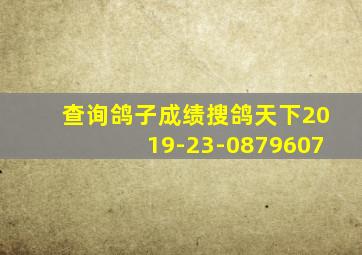 查询鸽子成绩搜鸽天下2019-23-0879607