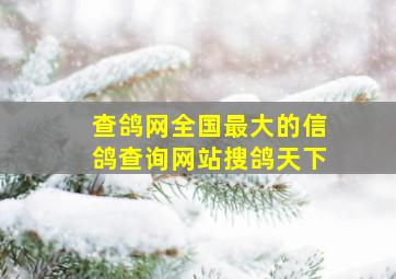 查鸽网全国最大的信鸽查询网站搜鸽天下