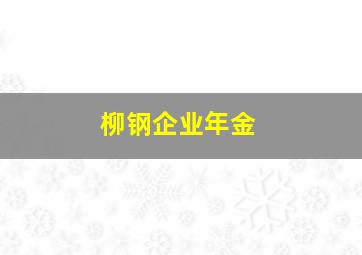 柳钢企业年金