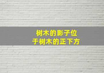 树木的影子位于树木的正下方