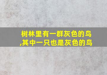 树林里有一群灰色的鸟,其中一只也是灰色的鸟