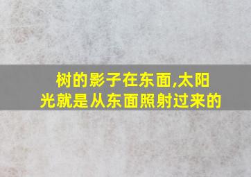 树的影子在东面,太阳光就是从东面照射过来的