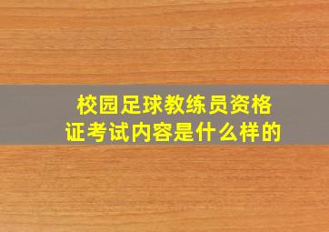 校园足球教练员资格证考试内容是什么样的