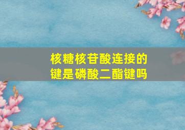 核糖核苷酸连接的键是磷酸二酯键吗