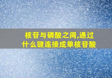 核苷与磷酸之间,通过什么键连接成单核苷酸