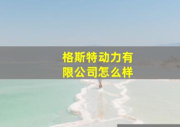 格斯特动力有限公司怎么样