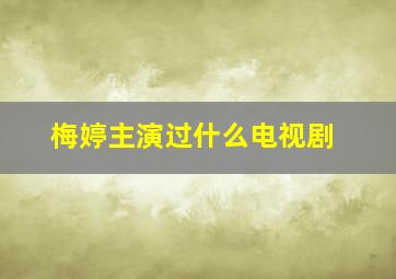 梅婷主演过什么电视剧