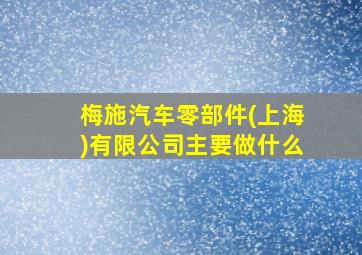 梅施汽车零部件(上海)有限公司主要做什么