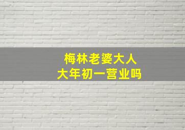 梅林老婆大人大年初一营业吗