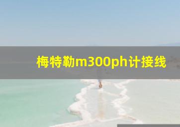 梅特勒m300ph计接线