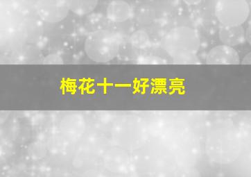 梅花十一好漂亮