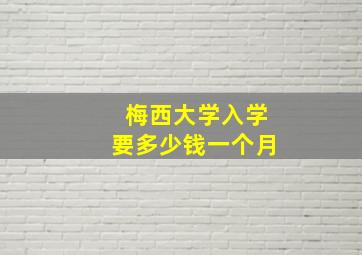 梅西大学入学要多少钱一个月