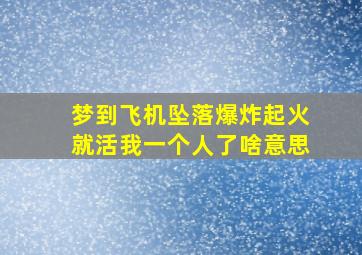 梦到飞机坠落爆炸起火就活我一个人了啥意思