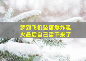 梦到飞机坠落爆炸起火最后自己活下来了