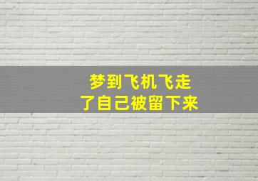 梦到飞机飞走了自己被留下来