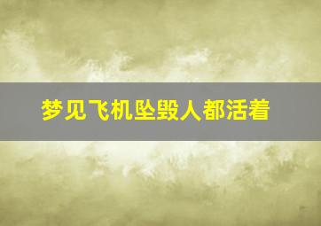 梦见飞机坠毁人都活着