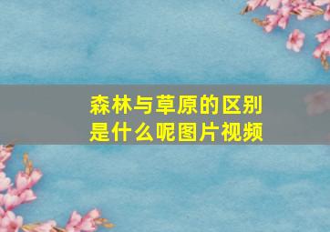 森林与草原的区别是什么呢图片视频