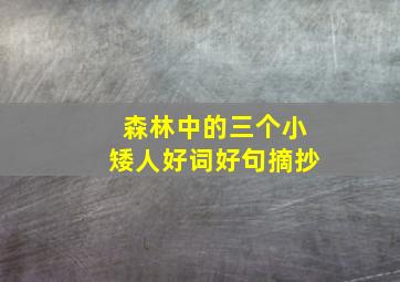 森林中的三个小矮人好词好句摘抄