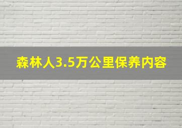 森林人3.5万公里保养内容