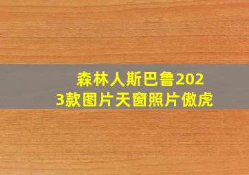 森林人斯巴鲁2023款图片天窗照片傲虎