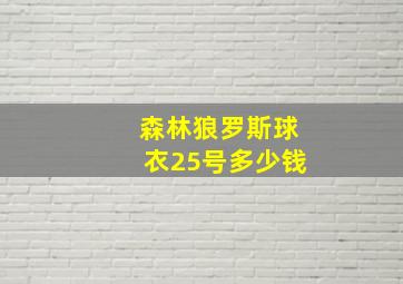 森林狼罗斯球衣25号多少钱