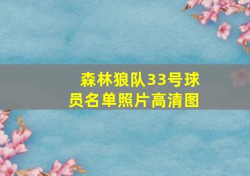 森林狼队33号球员名单照片高清图