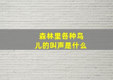 森林里各种鸟儿的叫声是什么